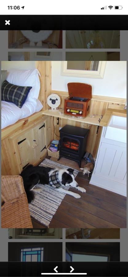 Sheepwash Shepherds Hut Bebside エクステリア 写真